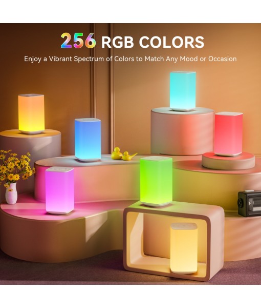 Auxmir Night Light, 4000mAh Rechargeable LED Table Lamp, Touch Bedside Lamp with RGB Colors, Dimmable Brightness, Remote Control, Portable Light for Children, Kids, Bedroom, Living Room, Camping